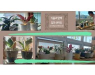 식물키우기.jpg