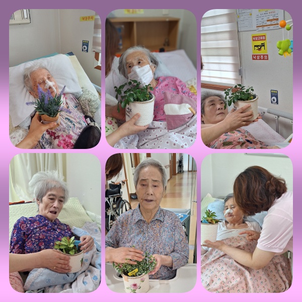 화분 참 예쁘다.jpg